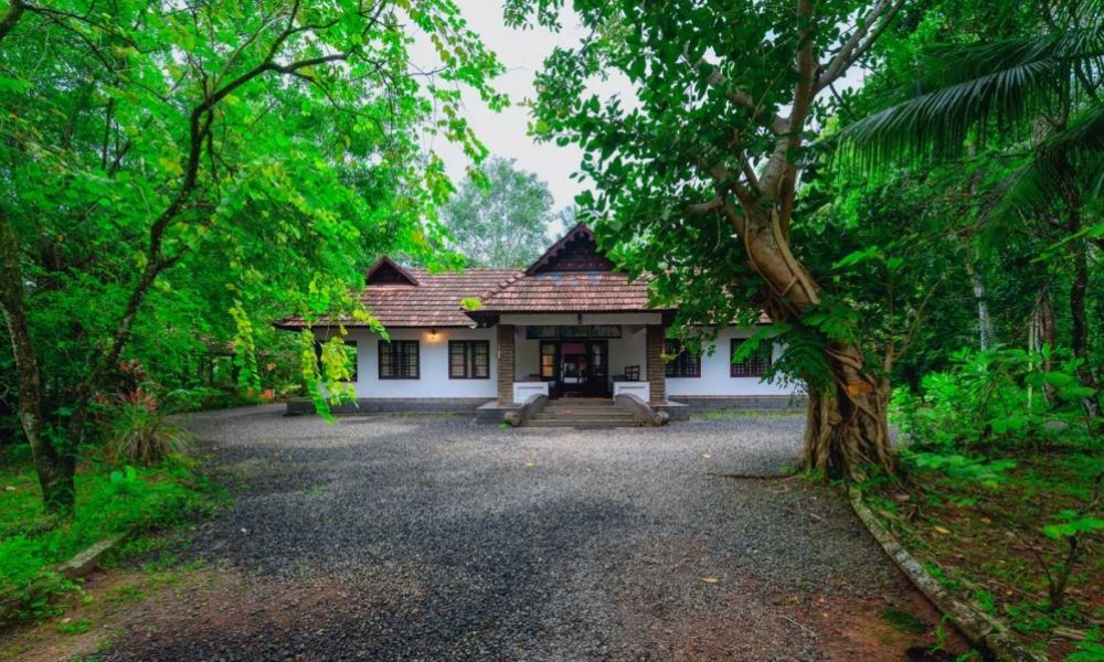 Nalukettu-1024x598